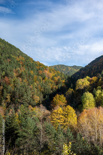 An autumnal valley with orange  yellow and green trees.