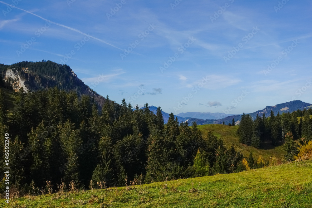 meadow and trees on a mountain with blue sky in autumn meadow and trees on a mountain with blue sky in autumn