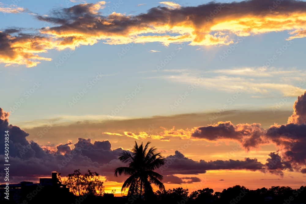 Silhouette of an urban city, tree and beautiful cloud formation at sunset