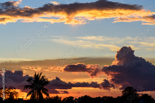 Silhouette of an urban city  tree and beautiful cloud formation at sunset