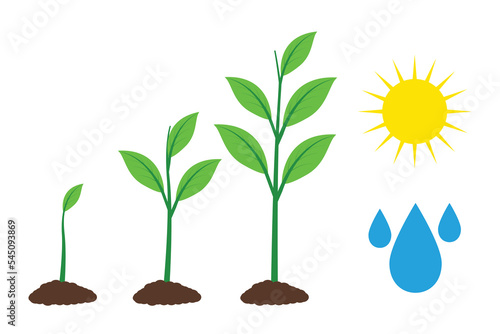 Plant glowing design vector flat isolated illustration