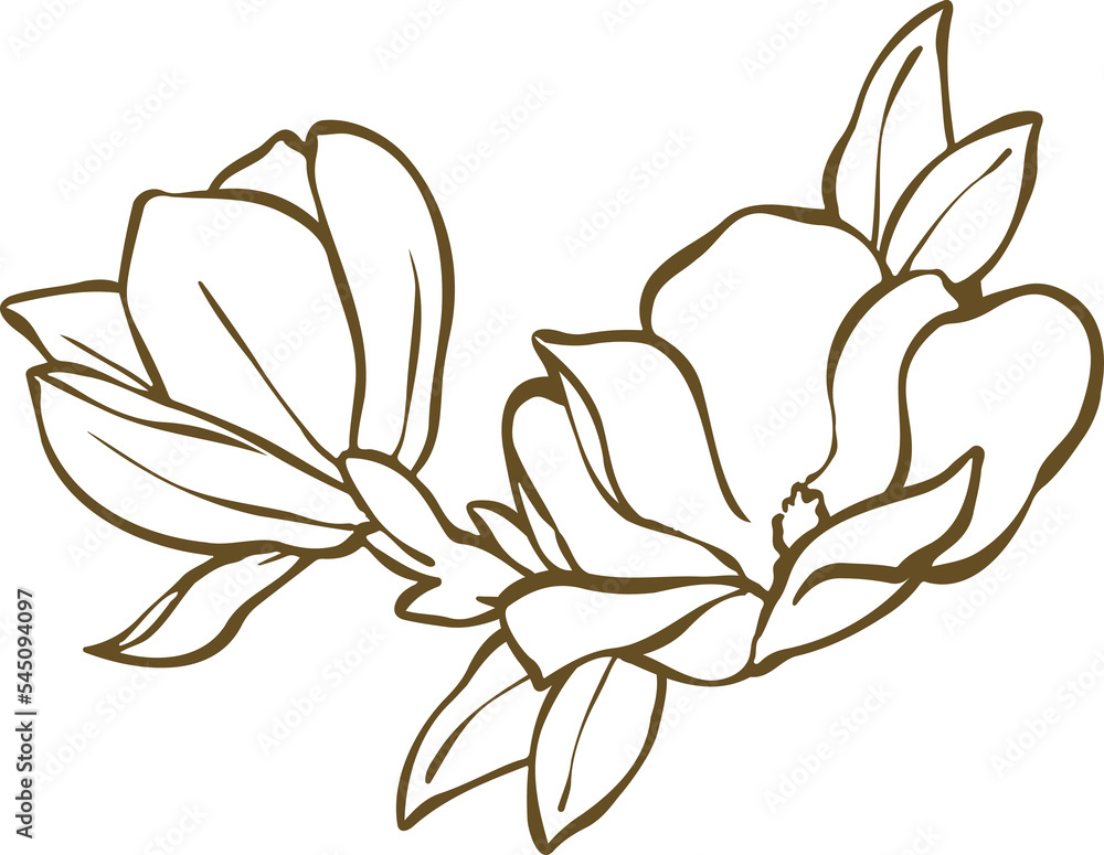 Obraz premium Line art flower 4
