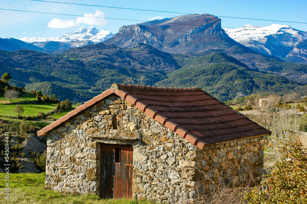 Fototapeta premium wooden house