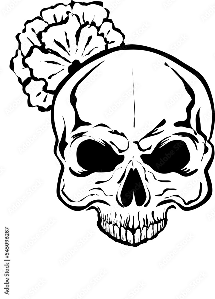 skull in black and white skull in black and white