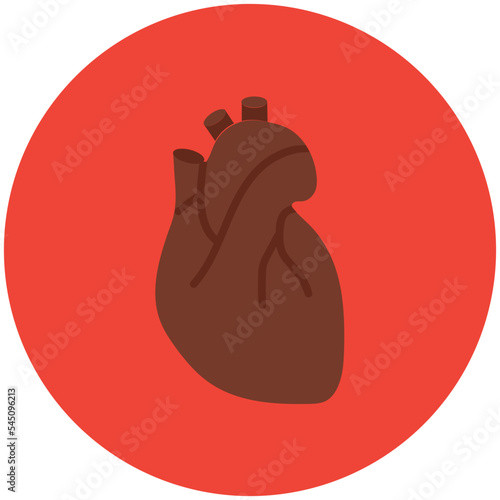 Human Heart Vector Illustration