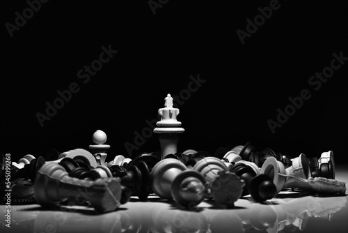 Foto chess knight in the night
