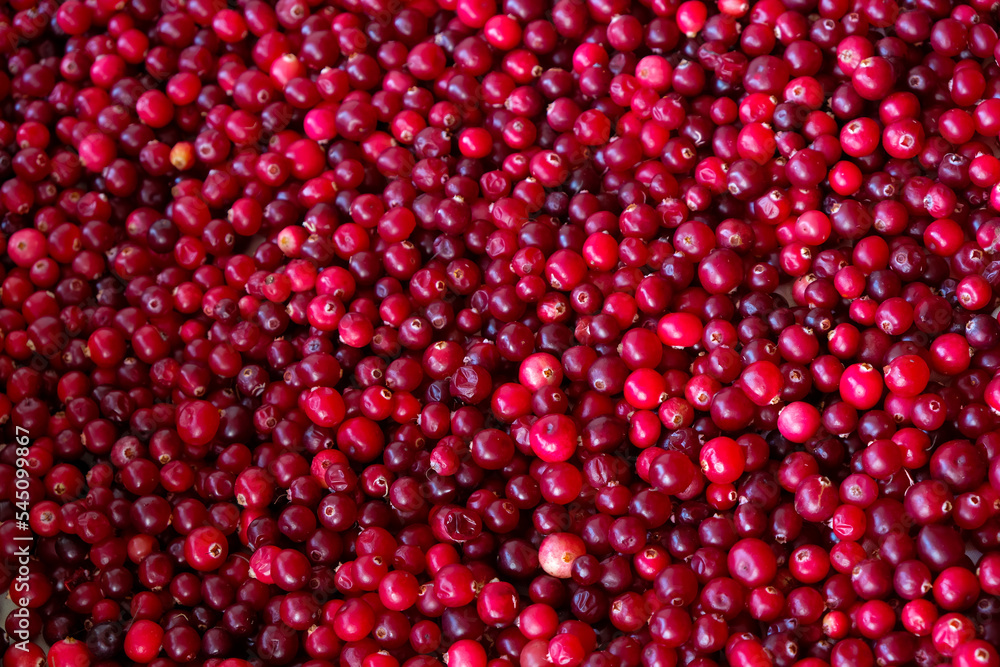 Red Cranberries background. Top view. Red Cranberries background. Top view.