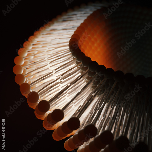 Lipid bilayer or phospholipid bilayer. 3D rendering.