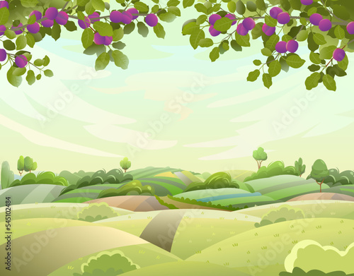 Landscape with plum branches. View of rural garden hills and meadow with road. Summer morning. Garden plant with edible crop. Branch with foliage and leaves. Vector