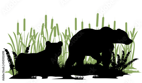 Bear male and female. Wild animals. Silhouette figures. Glade in swamp. Grass and reeds. Isolated on white background. Vector