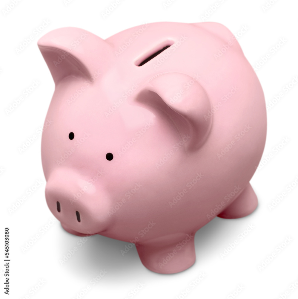 Piggy Bank Piggy Bank