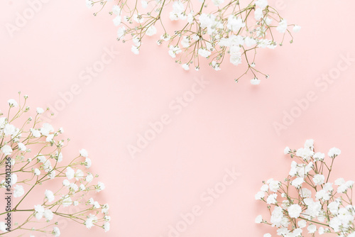 Beautiful flower background of pink gypsophila flowers. Flat lay, top view. Floral pattern.