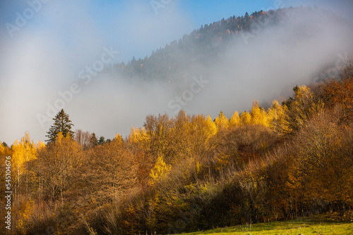 A charming mountain landscape in Carpathians  Romania. Autumn nature in Brasov  Europe