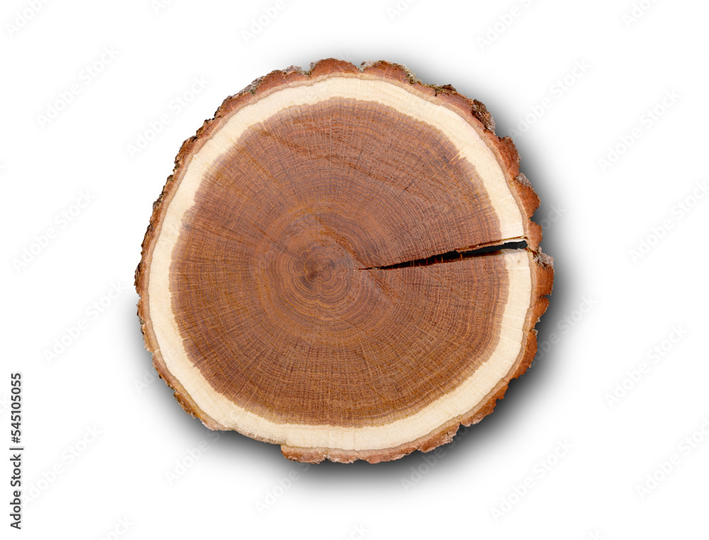 Log Cross Section Log Cross Section