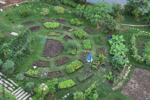 Ariel view of designed green garden for vegetable growing.