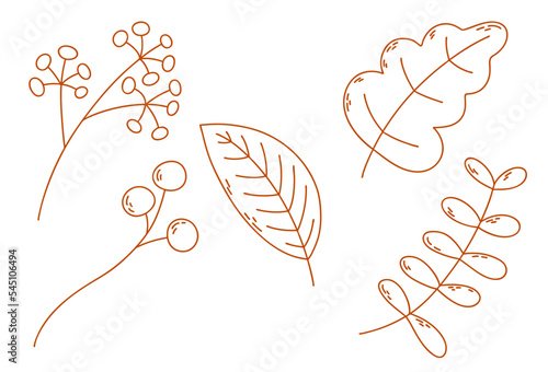 Set with autumn leaves and berries. Outline vector illustration