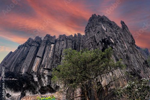 Yana caves is one of the finest creations of nature, located in Kumta in the Uttara Kannada district of Karnataka, this cave is both alluring and mysterious. photo