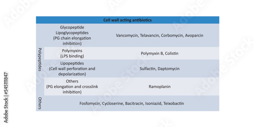 Table showing classification of Penicillin antibiotic by generations and chemical structure with examples. 
