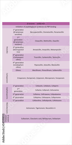 Table showing classification of β-lactame antibiotics by mechanism of action - penicillin, cephalosporin, carbapenems, monobactam and others vector illustration.
