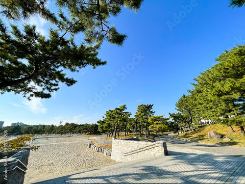 神奈川県横浜市の海の公園