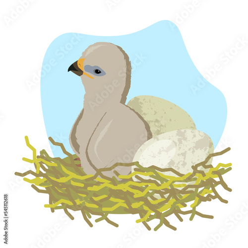 eaglet and eagle eggs in the nest. vector illustration