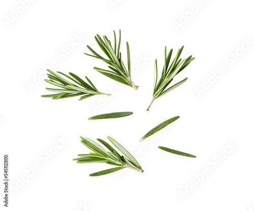 Photo Rosemary isolated on transparent png