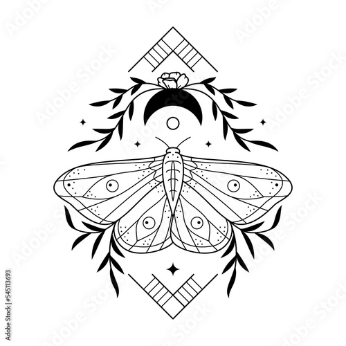 Stylized celestial illustration of night moth, moon and florals. Line art butterfly with leaves and flower. Vector illustration