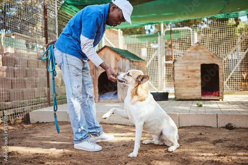 Dog, food and training for animal adoption with professional black worker at shelter for rescue and lost pets. Trainer, learning and reward for good discipline of homeless pet at volunteer center. photo