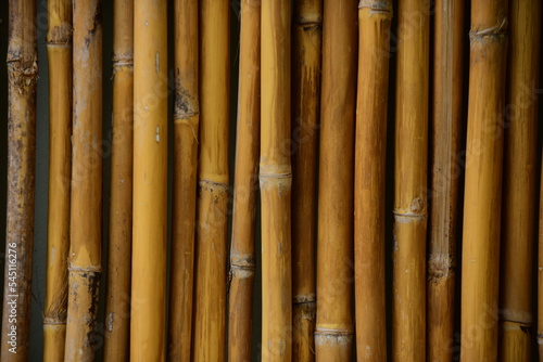 Photographie Full Frame Shot Of Bamboos