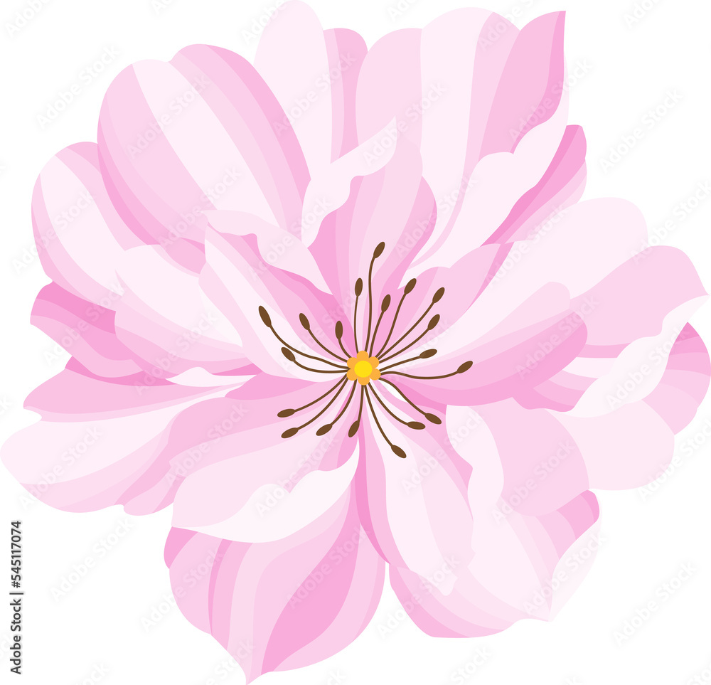 Obraz premium flower background for design. Vector design templates in simple modern style with copy space for text, flowers and leaves - wedding invitation backgrounds and frames, social media stories wallpapers.