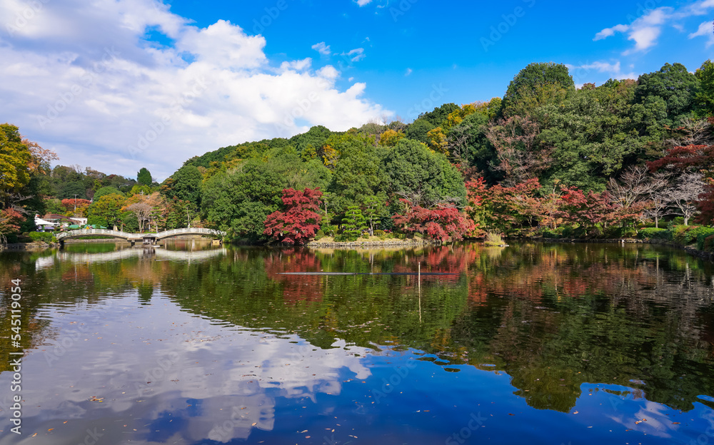秋晴れの薬師池公園　水辺の紅葉（東京都町田市）