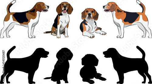 Beagle silhouettes. Laying, sitting, standing dog. Cute brown dogs characters in various poses, design for print, cute cartoon vector set, in different poses. One color design. Small dog.
