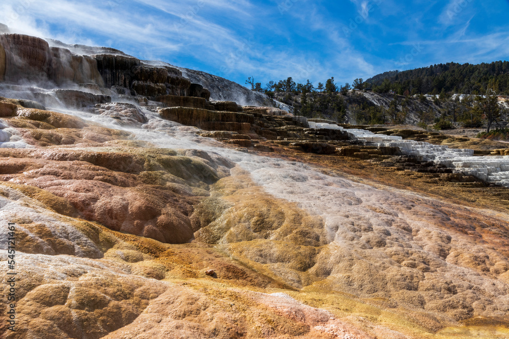 Mammoth hot springs at Yellowstone national park. USA.
