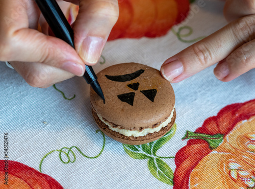 drawing with pencil sweet french macarons