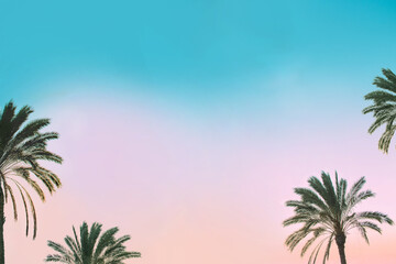 Palm trees on soft blue and pink color sunset sky with space for text. Travel and tropical vacation concept background