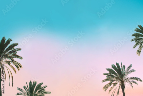 Fototapeta Naklejka Na Ścianę i Meble -  Palm trees on soft blue and pink color sunset sky with space for text. Travel and tropical vacation concept background