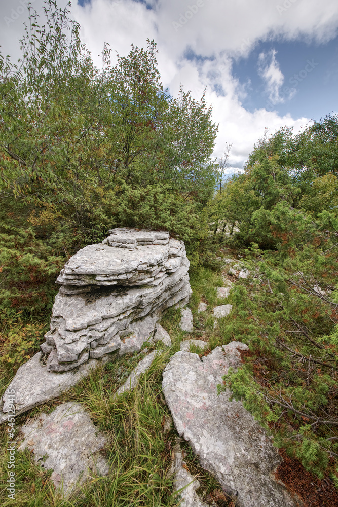 Griechenland - Pindosgebirge - Steinwald bei Monodendri Griechenland - Pindosgebirge - Steinwald bei Monodendri