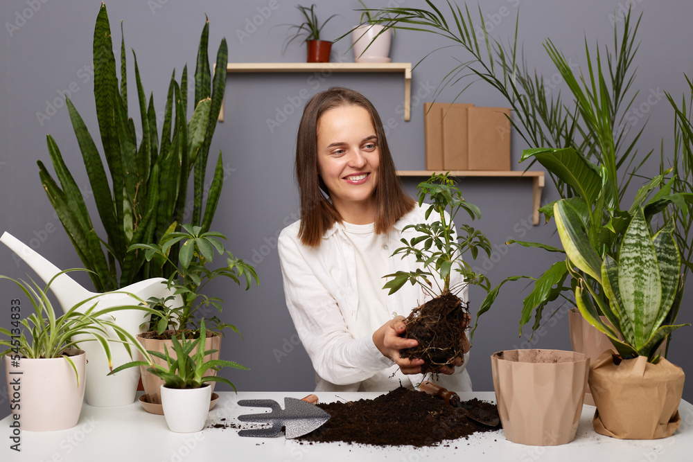 Portrait of smiling beautiful woman gardener working in her greenhouse or flower store, holding plant with soil, replanting flowers, smiling happily, botanist working in orangery. Portrait of smiling beautiful woman gardener working in her greenhouse or flower store, holding plant with soil, replanting flowers, smiling happily, botanist working in orangery.