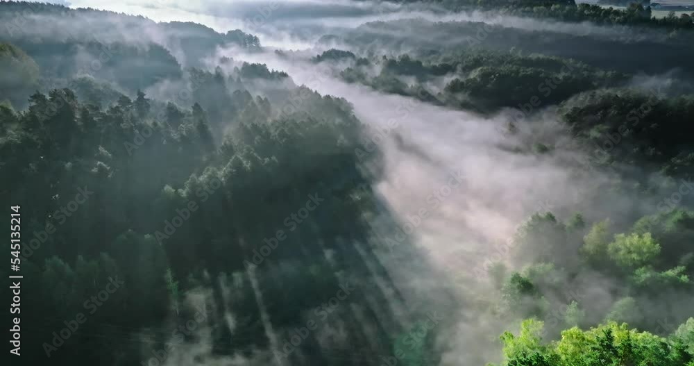Misty forest in valley at sunrise in autumn. Misty forest in valley at sunrise in autumn.