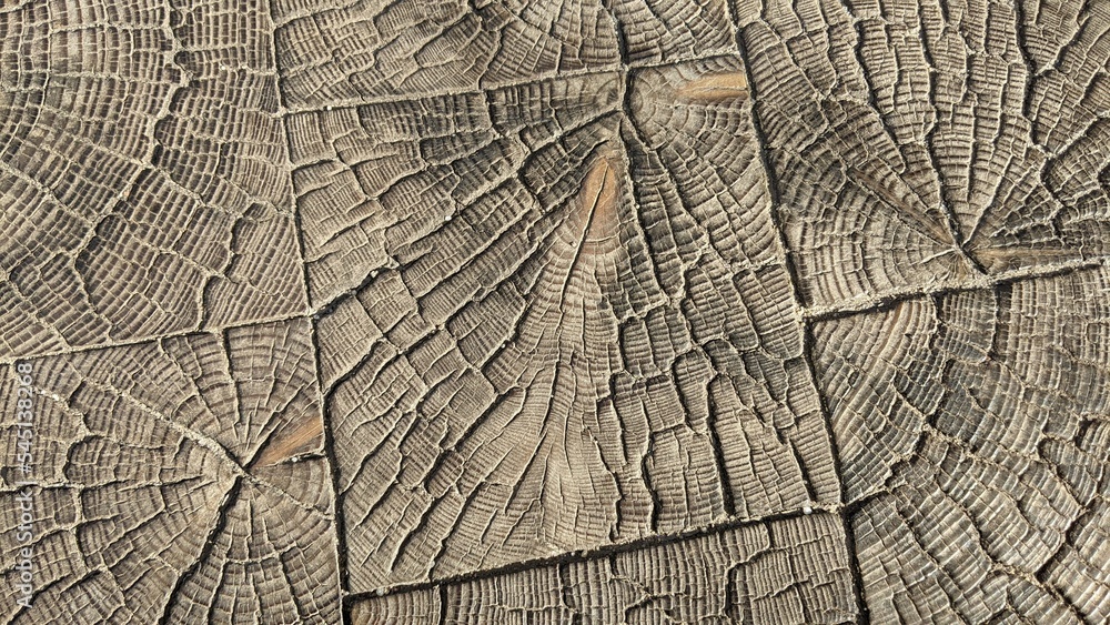 wooden background texture
