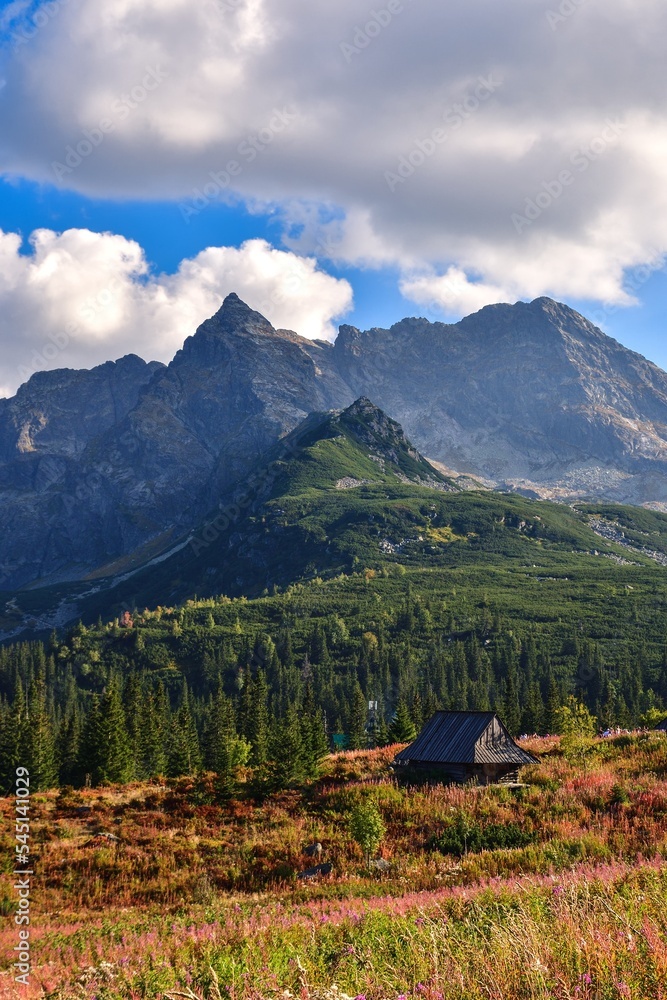 Beautiful mountain summer landscape. The famous Polish valley of Gasienicowa in the Tatra Mountains.