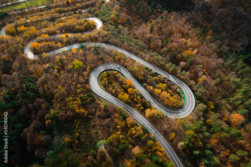 Fototapeta Naklejka Na Ścianę i Meble -  Winding road surounded by autumn forest in Poland