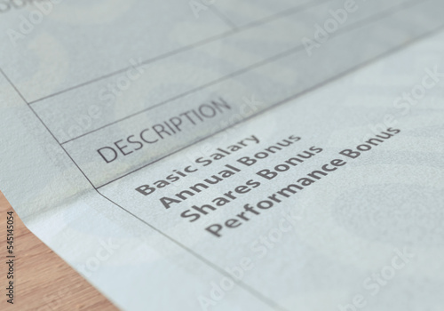 Paycheck Earnings Section