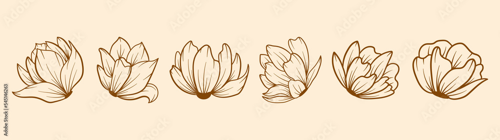 Obraz premium Set of vector silhouettes of bright tropical flowers. Isolated on a white background. Drawing sketches of leaves. Silhouettes of tropical flowers. Tropical exotic flowers. Flower collection set. 