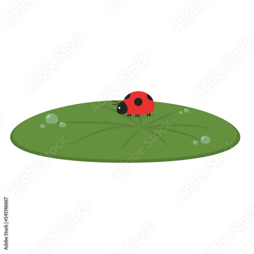 Drop of water on Lily pad. Lily pad vector. wallpaper. free space for text.