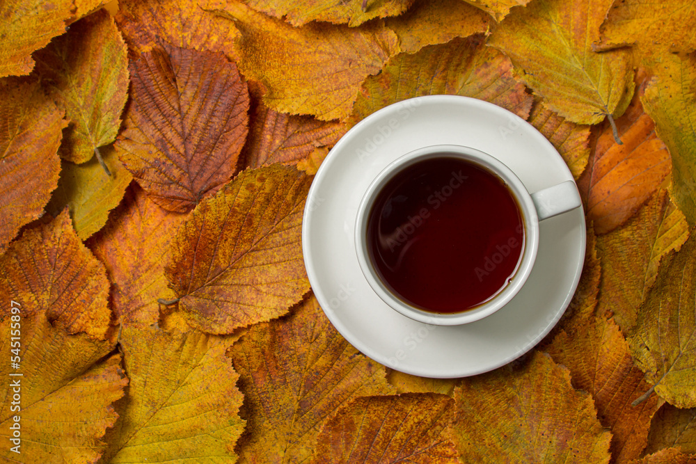 Cup of tea on autumn leaves. Autumn tea. Cup of tea on autumn leaves. Autumn tea.