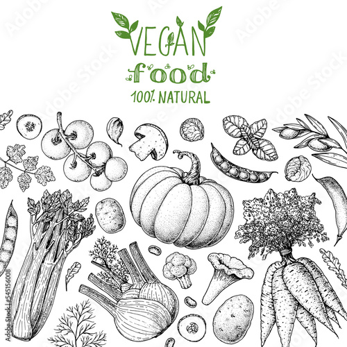 Vegan food frame. Hand drawn vector illustration. Menu design template. Vegan food sketch. Vintage design template. Product design. Great for packaging, recipe book, menu. Vegetarian food sketch.