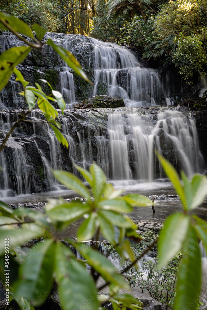 Obraz premium Scenic view of waterfall among the wild forest