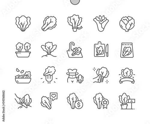 Lettuce vegetable. Cooking, recipes and price. Food shop, supermarket. Menu for cafe. Pixel Perfect Vector Thin Line Icons. Simple Minimal Pictogram