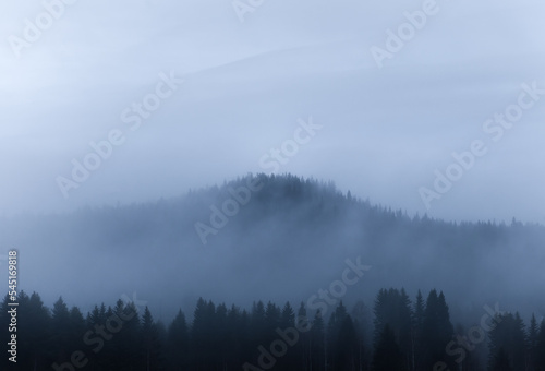 Small hilltop covered in fog